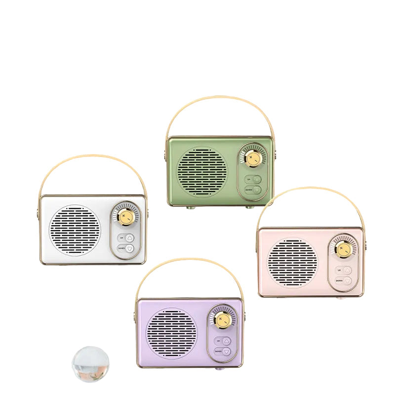 Other speaker