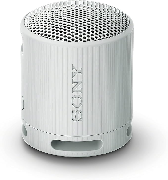 Sony SRSXB100/H Portable Mp3 Player Wireless Speaker Systems Light Gray
