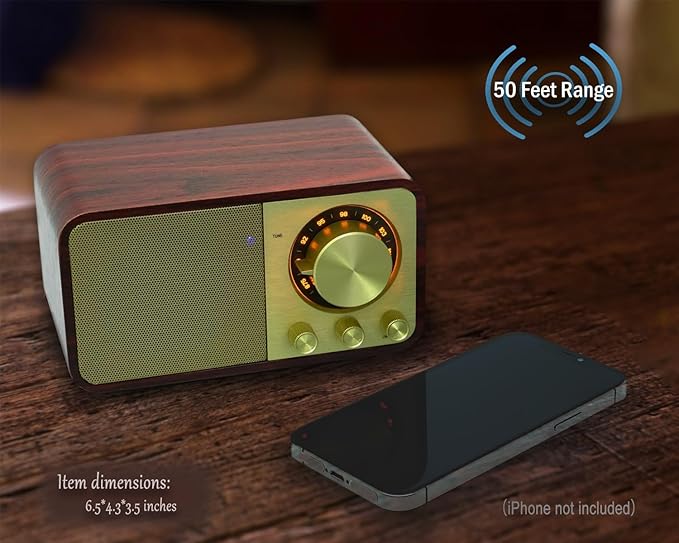 FM Radio with Bluetooth Retro Bluetooth Speaker Vintage Radio with SD/USB