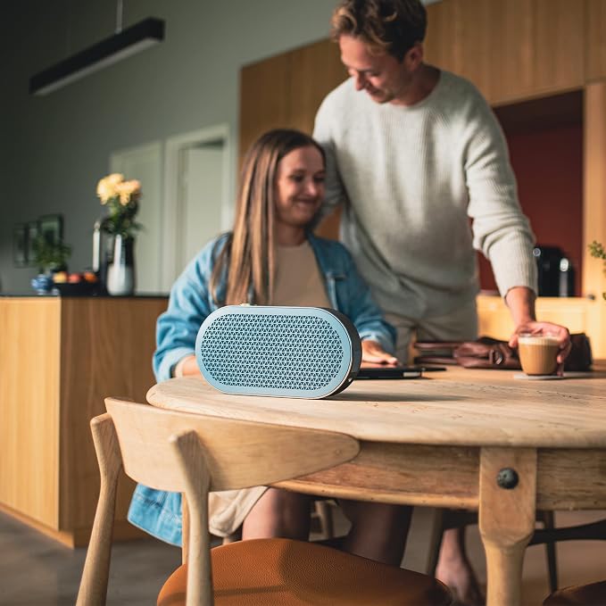 DALI Katch G2 Portable Bluetooth Speaker