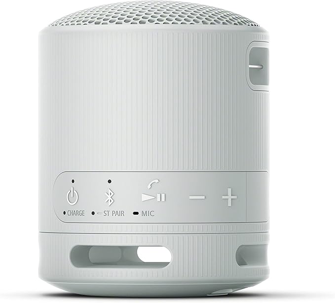 Sony SRSXB100/H Portable Mp3 Player Wireless Speaker Systems Light Gray