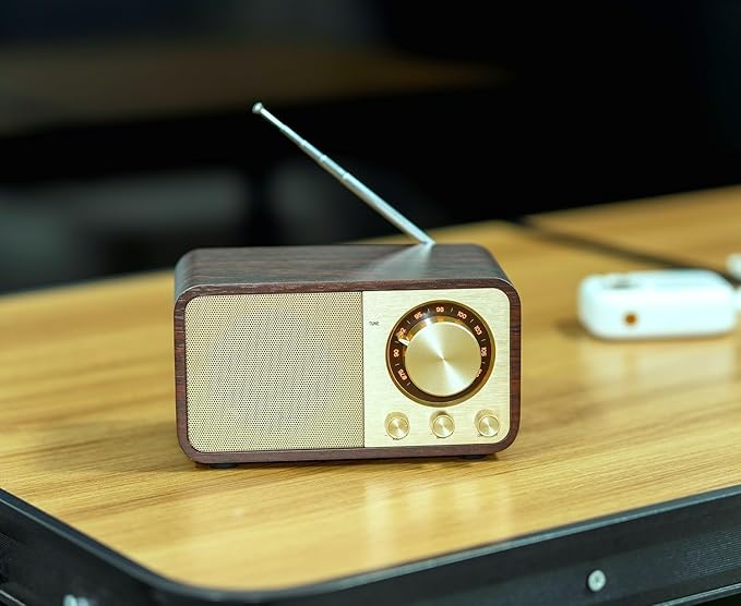 FM Radio with Bluetooth Retro Bluetooth Speaker Vintage Radio with SD/USB