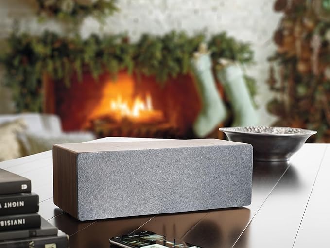 Audioengine All in One A2+ Portable Wireless Speaker
