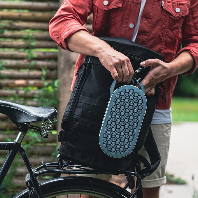 DALI Katch G2 Portable Bluetooth Speaker
