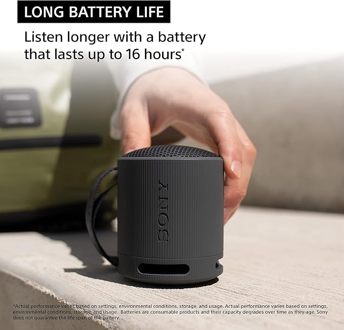 Sony SRSXB100/H Portable Mp3 Player Wireless Speaker Systems Light Gray