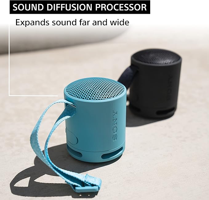 Sony SRSXB100/H Portable Mp3 Player Wireless Speaker Systems Light Gray